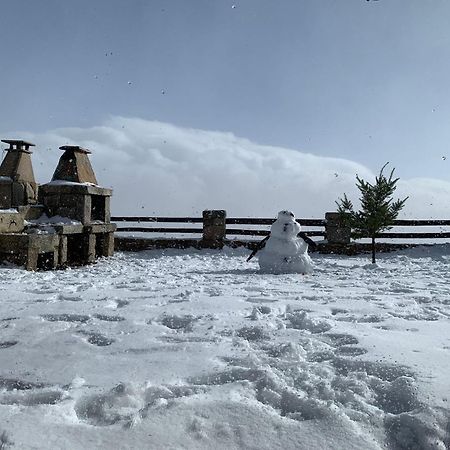 Mountain Chalet 科维良 外观 照片